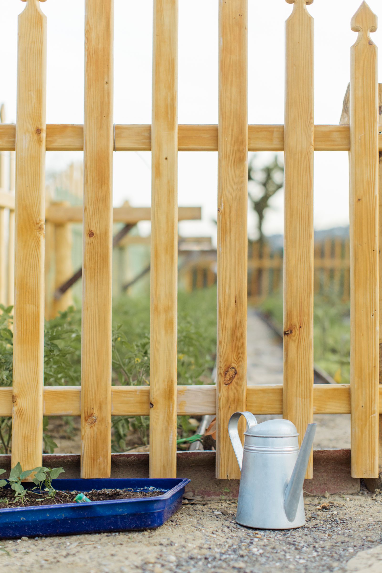Houten schutting in de tuin